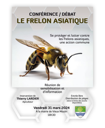 Affichette A3 pour des réunions d'informations sur le frelon asiatique